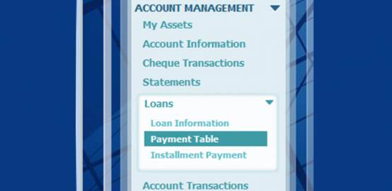 Loans