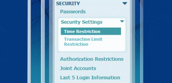 Security Restriction