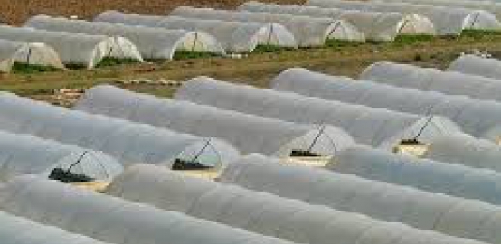 Loan for Greenhousing, Farmers and Livestock