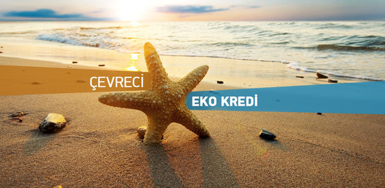 Ticari Eko Kredisi